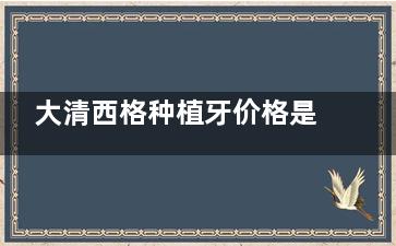 大清西格种植牙价格是多少？不同型号种植牙费用 + 安装流程 + 术后维护成本一文说清